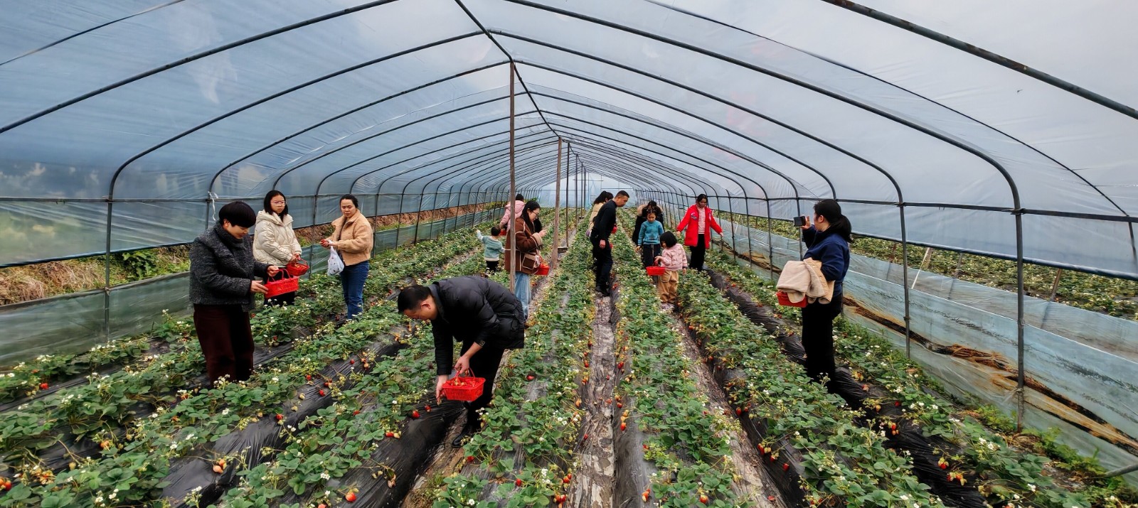 1762743170588143.jpg 1762743170588143.jpg